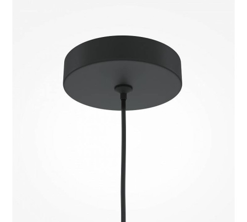 Подвесной светильник Maytoni Pro Focus MOD161PL-01B1