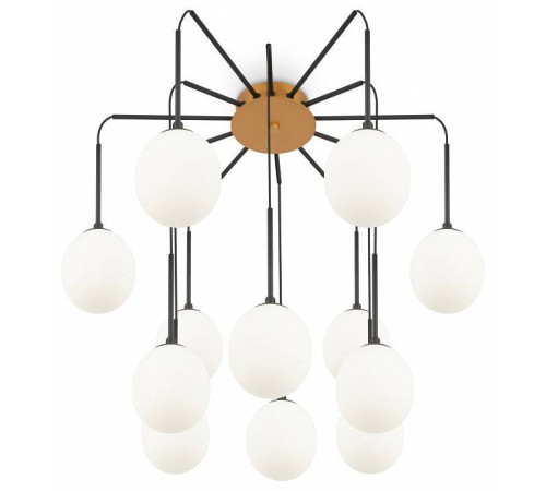 Потолочная люстра Maytoni Branch MOD176PL-12G