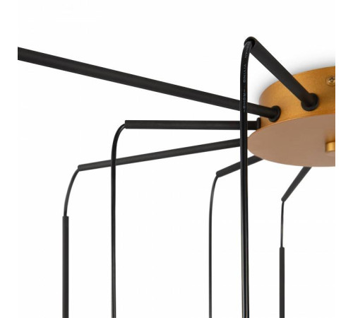 Потолочная люстра Maytoni Branch MOD176PL-12G