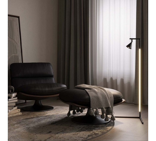 Торшер Maytoni Stripe MOD489FL-L20B3K