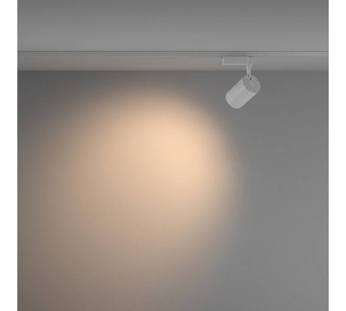 Светильник на штанге Maytoni Vuoro TR003-1-15W3K-W-W