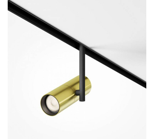 Светильник на штанге Maytoni Elti TR005-2-12W3K-BBS