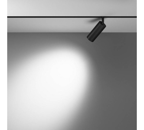 Светильник на штанге Maytoni Focus LED TR032-2-12W4K-M-B