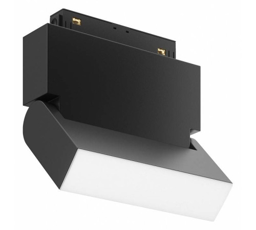 Накладной светильник Maytoni Basis Rot TR075-2-10W3K-B