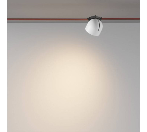 Накладной светильник Maytoni Cup TR124B-12W3K-W