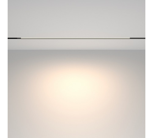 Накладной светильник Maytoni Technical Basis TR231-2-15W4K-B