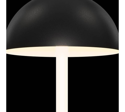 Настольная лампа декоративная Maytoni Ray Z012TL-L8B3K