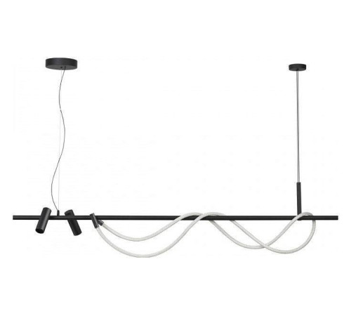 Подвесной светильник Odeon Light Corda 4391/40L