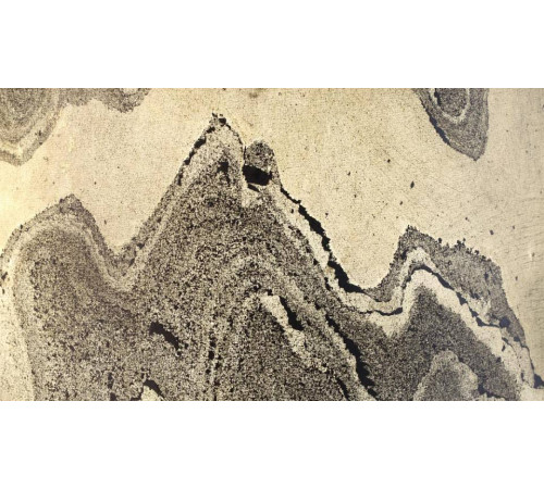 Настольная лампа декоративная Odeon Light Bergi 5064/2T