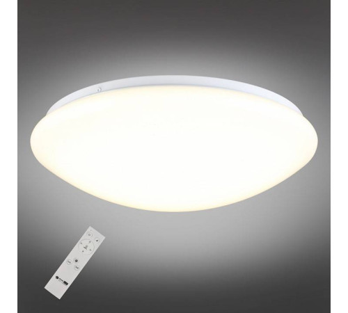 Накладной светильник Omnilux Berkeley OML-43007-40