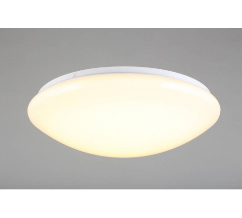 Накладной светильник Omnilux Berkeley OML-43007-40