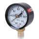 Манометр общетехнический РОСМА ТМ-210Р.00 0-0.6 МПа G1/4 радиальный 50 мм 00000006695
