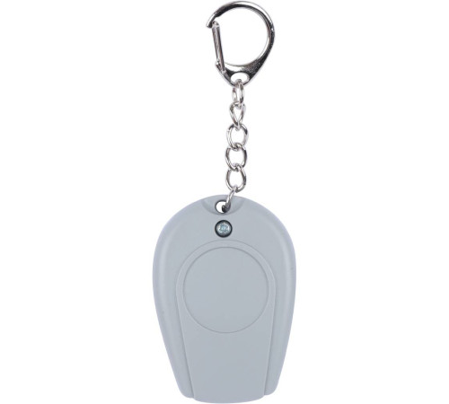 Пульт дистанционного управления ZONT Home 868 МГц ML13242