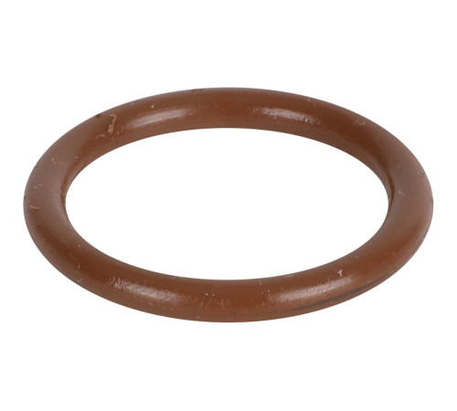 Уплотнительное кольцо ROMMER FPM 22 мм RSS-0028-000022