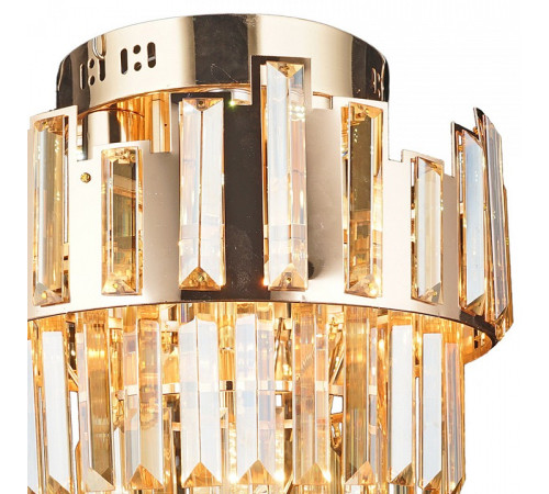 Потолочная люстра 01973-0.3-5+4