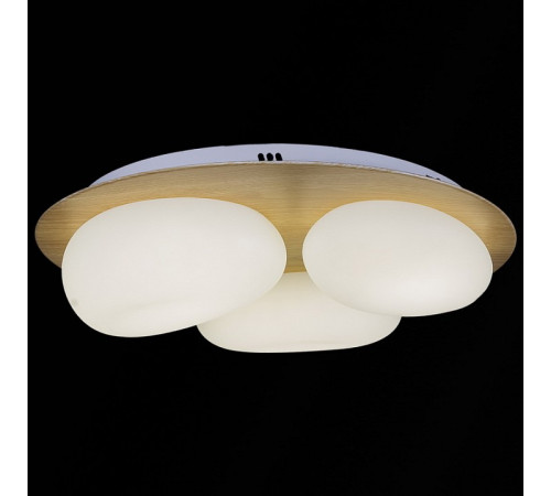 Потолочная люстра 10009-0.3-60W AEROLITE