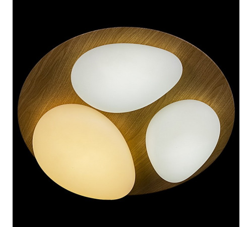 Потолочная люстра 10009-0.3-60W AEROLITE