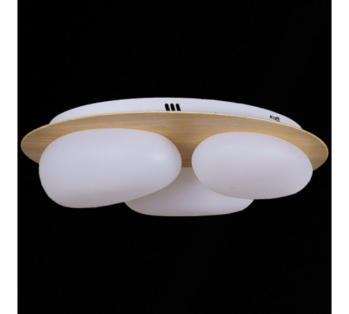 Потолочная люстра 10009-0.3-60W AEROLITE