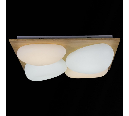 Потолочная люстра 10010-0.3-80W AEROLITE