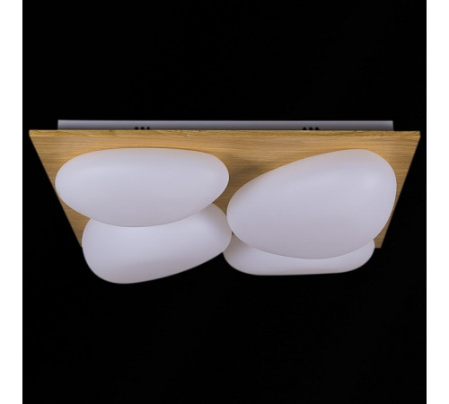 Потолочная люстра 10010-0.3-80W AEROLITE