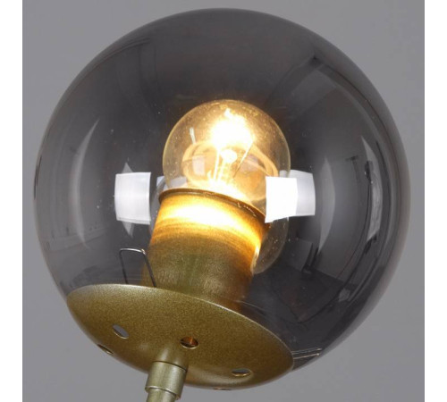 Бра 36363-0.2-01 5038GD