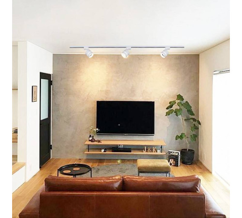 Светильник на штанге Reluce Technical 53017-9.3-001MN GX53 WT