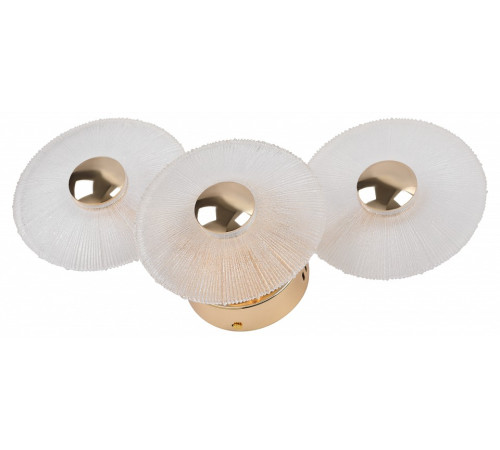 Накладной светильник Rivoli Helena Б0061946