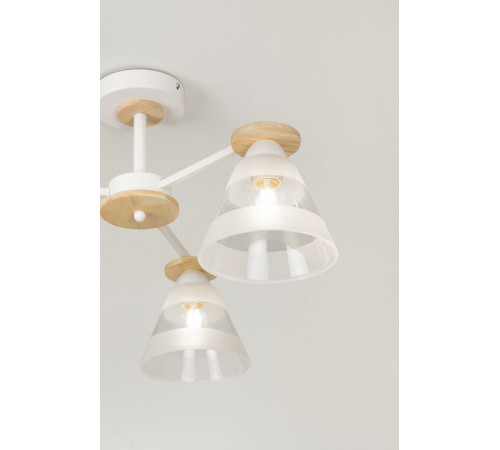 Люстра на штанге Rivoli Theothila Б0068434