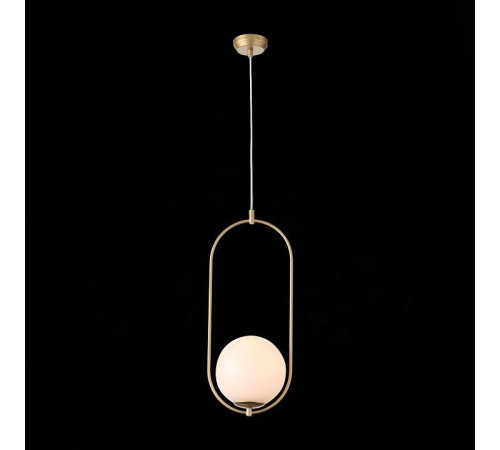 Подвесной светильник ST-Luce Penolo SL1118.203.01