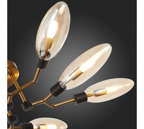 Потолочная люстра ST-Luce Desima SL1174.302.08