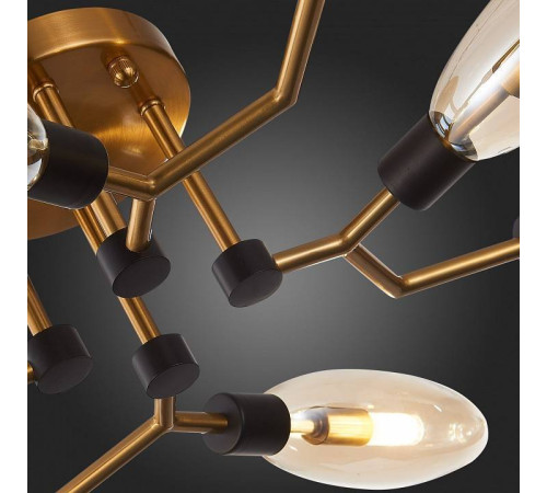 Потолочная люстра ST-Luce Desima SL1174.302.08