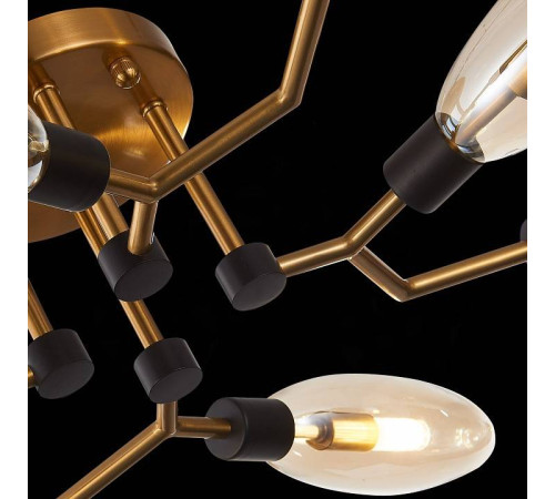 Потолочная люстра ST-Luce Desima SL1174.302.08