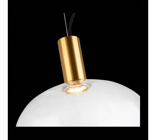 Подвесной светильник ST-Luce Allenore SL1582.303.01