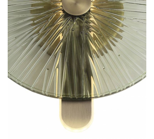 Накладной светильник ST-Luce WASI SL6141.321.01