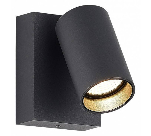 Светильник на штанге ST-Luce Deck SL9515.701.01