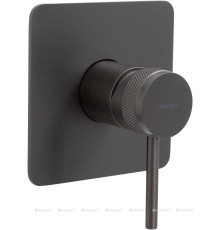 Смеситель встраиваемый для душа Allen Brau Priority X1 1 выход графит брашированный 5.31012-MG