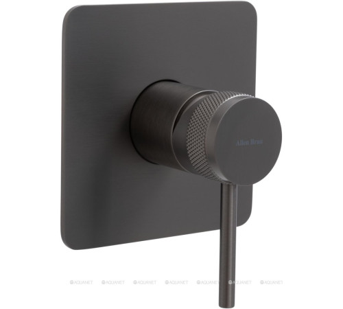 Смеситель встраиваемый для душа Allen Brau Priority X1 1 выход графит брашированный 5.31012-MG