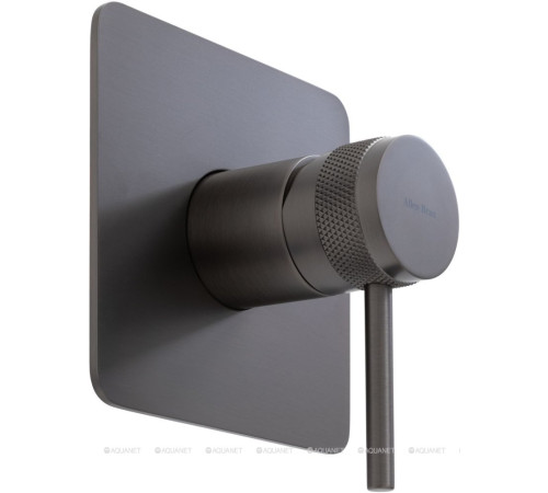 Смеситель встраиваемый для душа Allen Brau Priority X1 1 выход графит брашированный 5.31012-MG