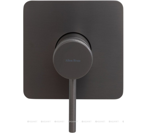 Смеситель встраиваемый для душа Allen Brau Priority X1 1 выход графит брашированный 5.31012-MG