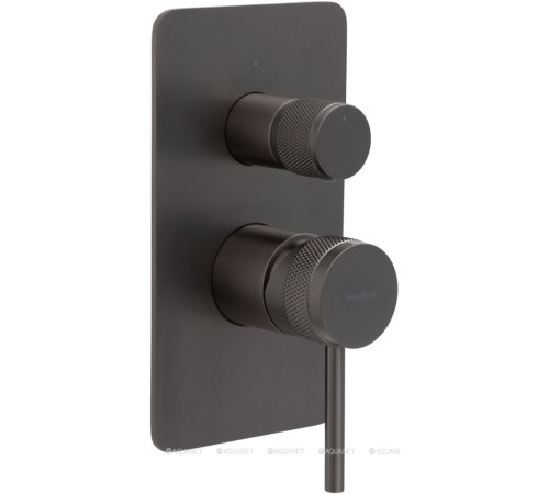 Смеситель встраиваемый для душа Allen Brau Priority 2 выхода Easy box графит 5.31011-MG