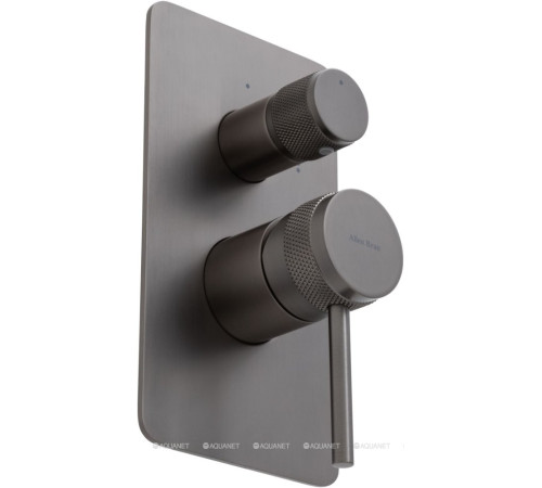 Смеситель встраиваемый для душа Allen Brau Priority 2 выхода Easy box графит 5.31011-MG