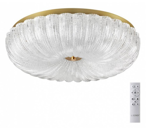 Накладной светильник Sonex Tesoro 7719/60L