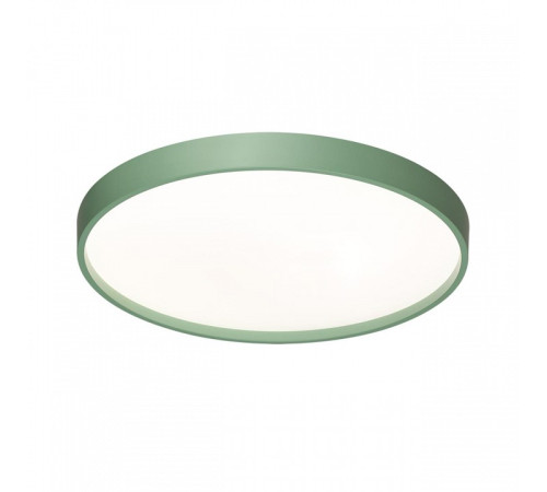 Накладной светильник Sonex COLOR 7743/ELN