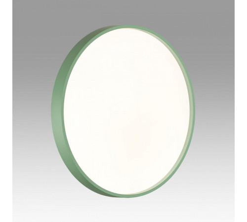 Накладной светильник Sonex COLOR 7743/ELN