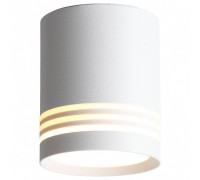 Накладной светильник ST-Luce Cerrione ST101.542.05