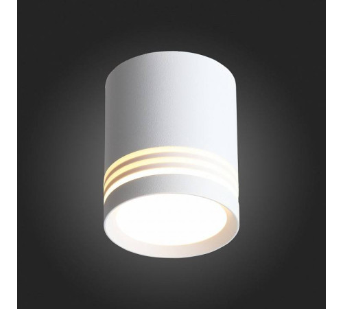 Накладной светильник ST-Luce Cerrione ST101.542.05