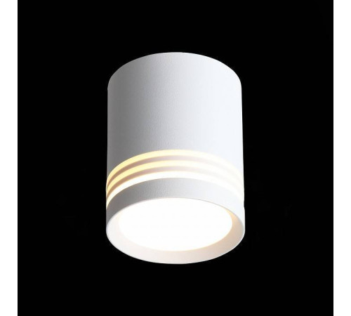 Накладной светильник ST-Luce Cerrione ST101.542.05