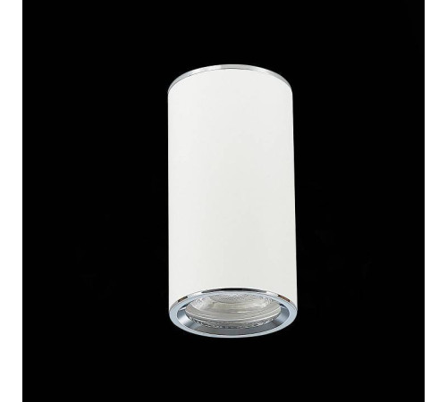 Накладной светильник ST-Luce Simplus ST111.507.01