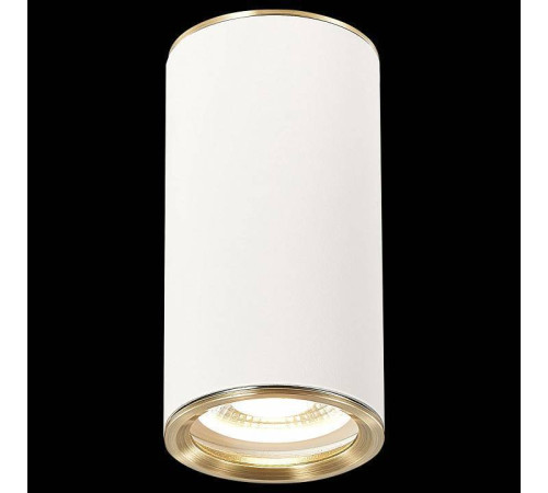 Накладной светильник ST-Luce Chomus ST111.537.01