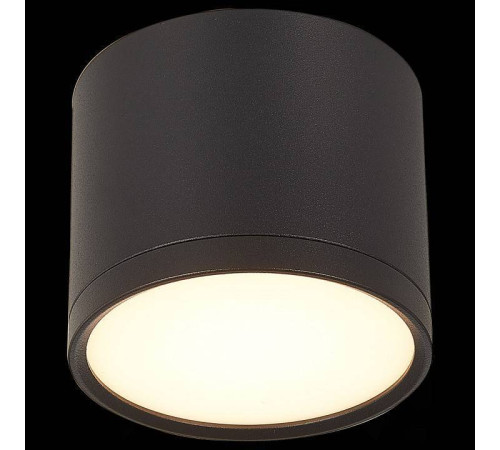 Накладной светильник ST-Luce Rene ST113.432.09